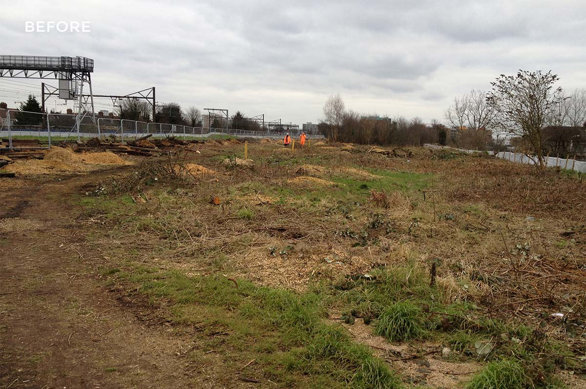 Romford MDU Site Clearance