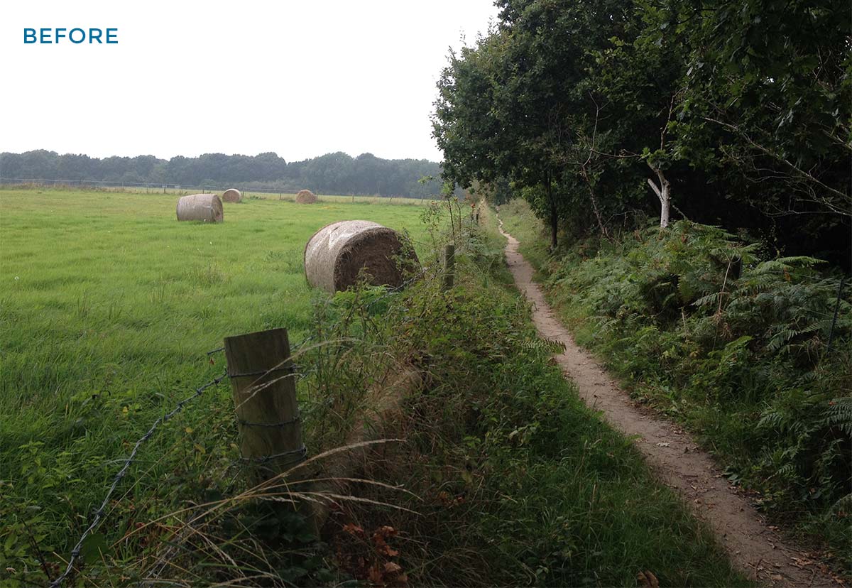 Wrabness Enabling Works and Drainage